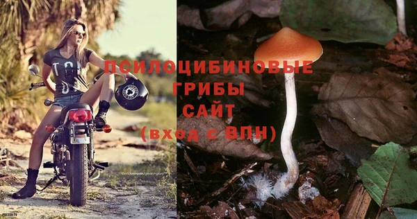 прущие крисы Абинск