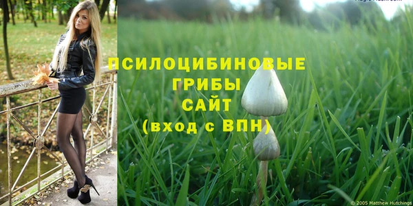 прущие крисы Абинск