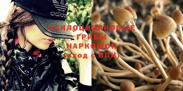 каннабис Абаза
