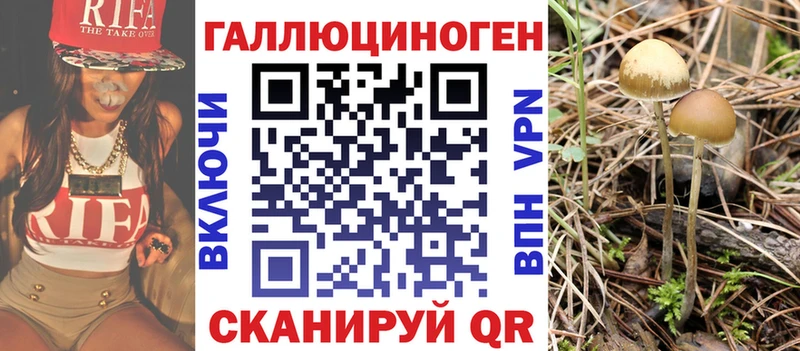 Псилоцибиновые грибы прущие грибы  Вилючинск 